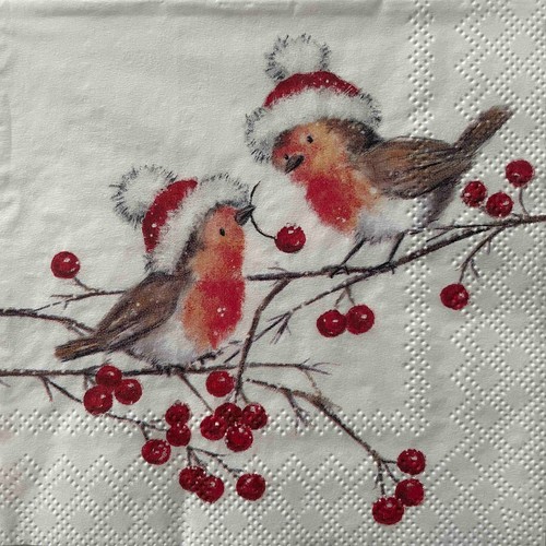 Cocktail paper napkins - 2, for