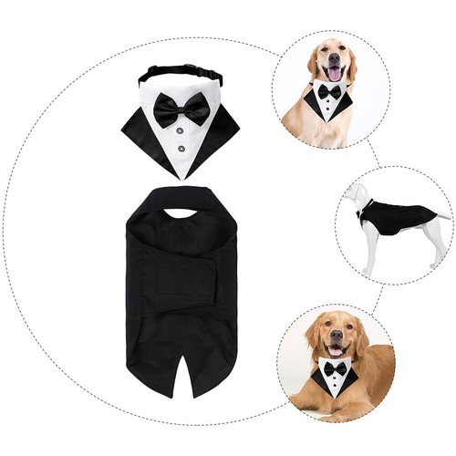 Set dog suit and bandana - dog,