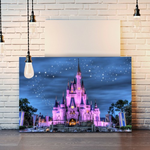 Disney princess castle - disney,