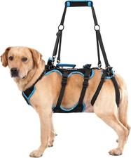 Lafoty Dog Lift Harness for Medium Male Dogs Friendly, (Black, Medium) - New