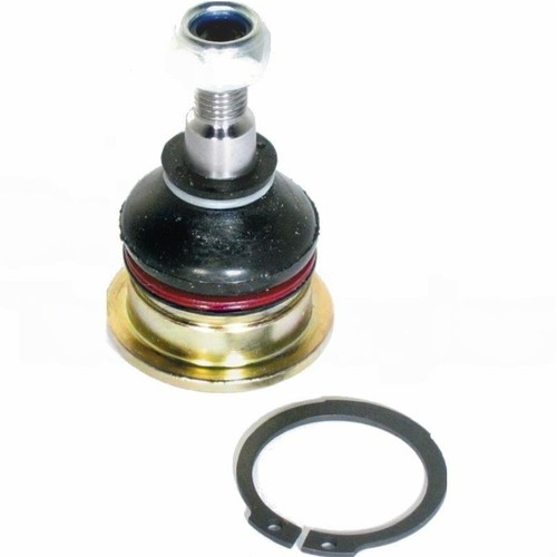 Genuine delphi front - delphi, upper