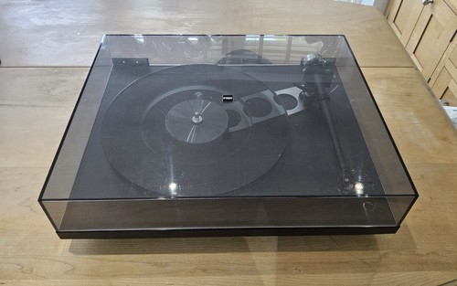 Rega with ania pro - rega, p6