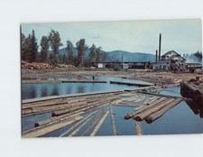 Postcard Typical Sawmill & Log