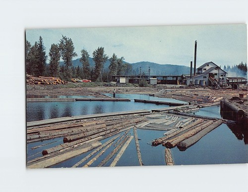 Postcard typical sawmill log - &,