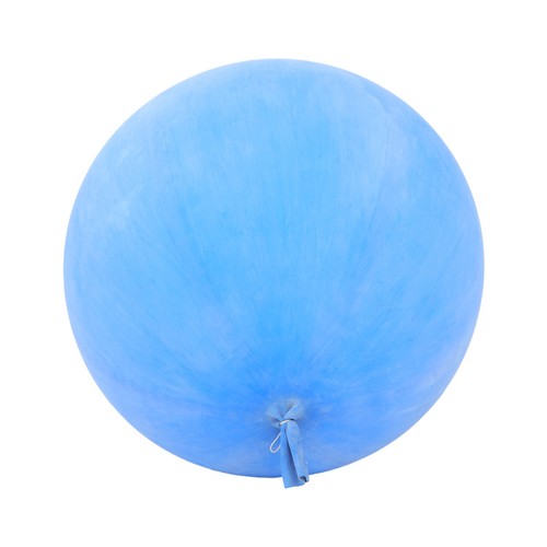 Professional weather balloon - professional,