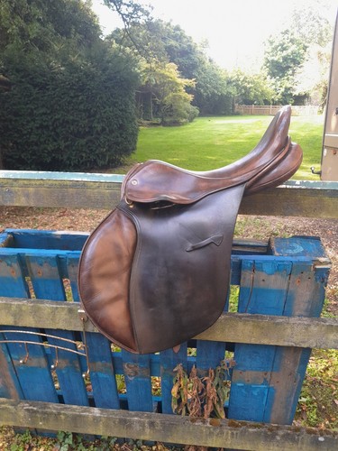 Medium brown falcon - medium,