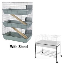 Rabbit Guinea Pig Bunny Animal