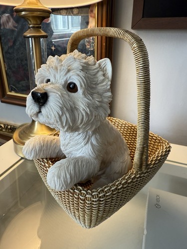 Leonardo collection dog - leonardo,