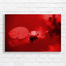 Lotus Blossom Spa Beautiful