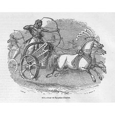 An Ancient Egyptian Chariot -