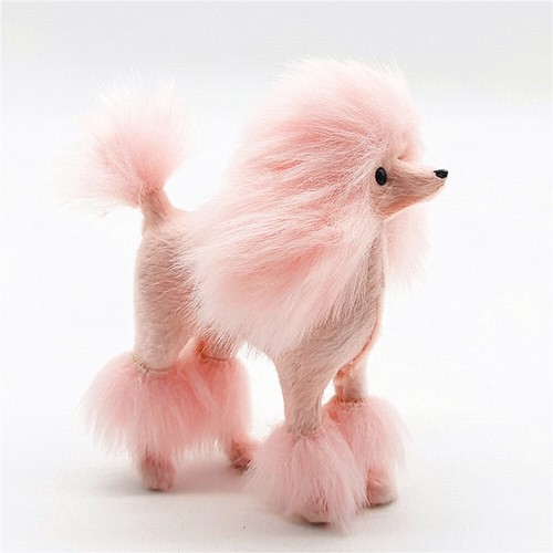 Inch mini poodle - inch,