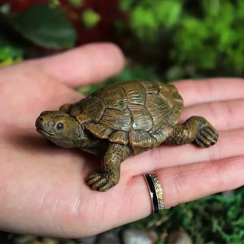 Turtle tortoise art - turtle,