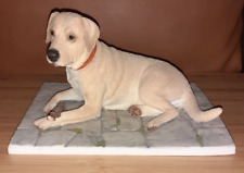 Large Sherratt & Simpson Model