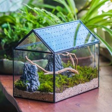House Shape Glass Terrarium