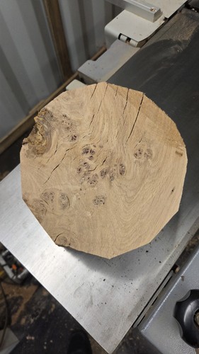 Pippy english oak bowl blank - bowl,
