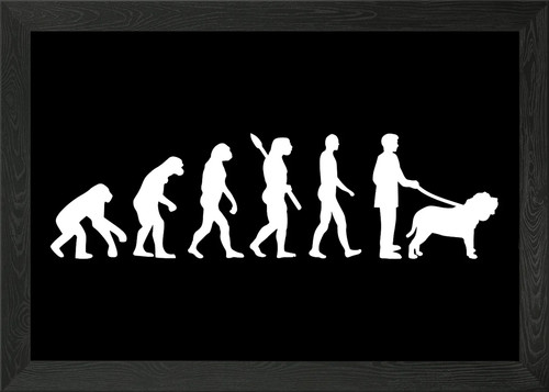 Neapolitan mastiff framed wall - framed,