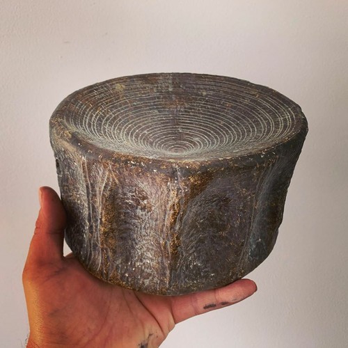Megalodon fossil vertebra - fossil,