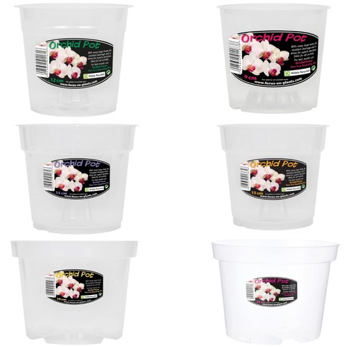 Growth technology clear orchid - growth,