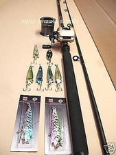 Pike Fishing Kit Baitcaster