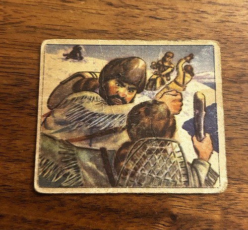 1949 bowman wild - 1949,