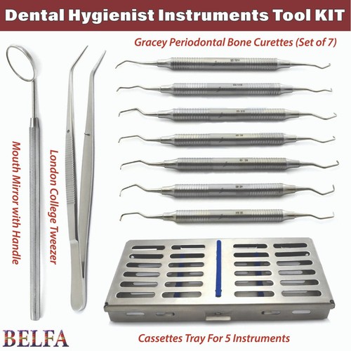 Dental hygienists laboratory - dental,