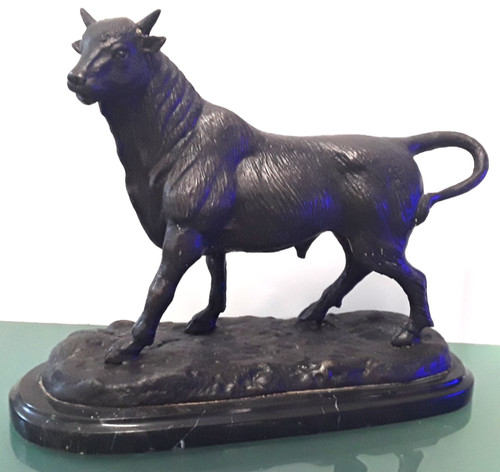 Stunning heavy bronze bull - stunning,