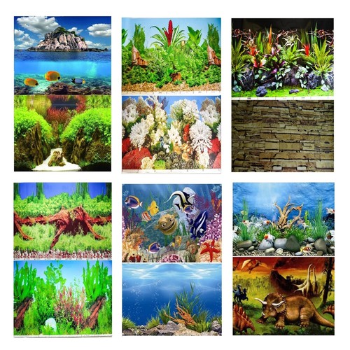 Aquarium fish tank background - aquarium,