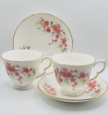Queen Anne Bone China Tea Cup