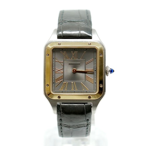 Cartier santos dumont w2sa0028 - cartier,