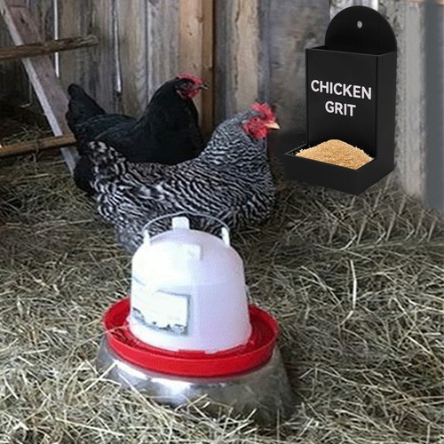 Chicken grit feeder hanging - chicken,