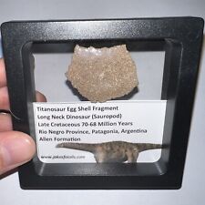 FRAMED TITANOSAUR Dinosaur Fossil Egg Fragment Lot 1.5 to 1.25 IN One per Order