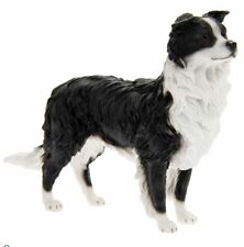 Border Collie Sheepdog