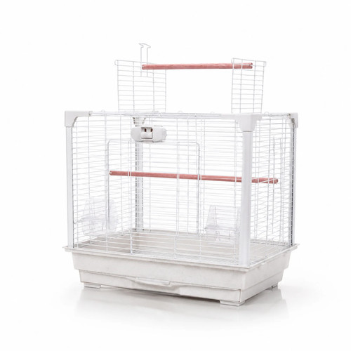 Little friends budgie canary - little,