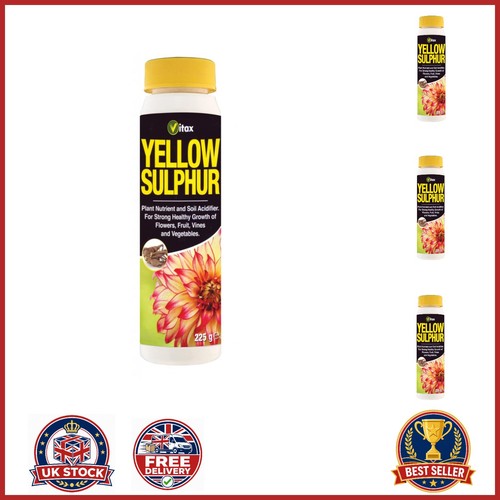 Yellow sulphur 225g - yellow, plant