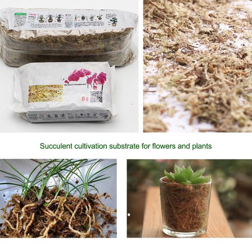 12l dried sphagnum moss - 6/12l,