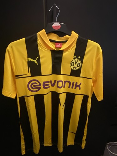 Borussia dortmund large - dortmund,