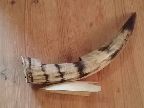 Large vintage cow bull - bull, horn