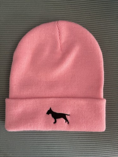 English bull terrier - bull, ebt