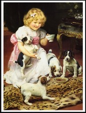 JACK RUSSELL TERRIER PUPS AND