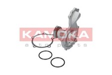 KAMOKA T0044 Water Pump for ALFA ROMEO,ALPINA,AUDI,BMW,CITROËN,DODGE,FERRARI,FIA