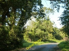Photo 6x4 Old Park Lane Dell