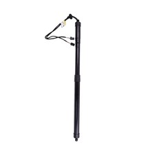 Electric Tailgate Strut
