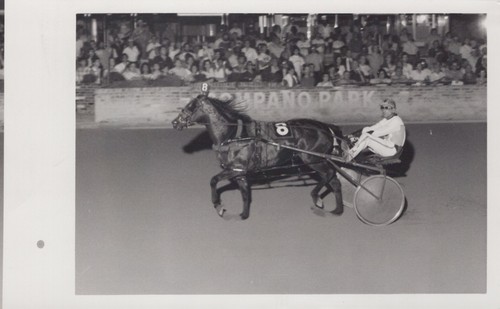 Country girl pompano park - -,
