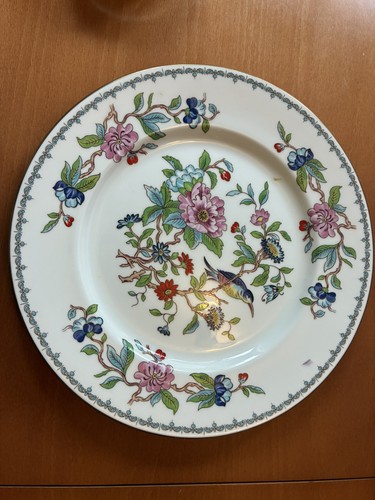 Aynsley pembroke dinner plate - dinner,