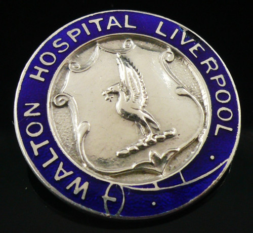 Sterling silver enamel - silver, nursing