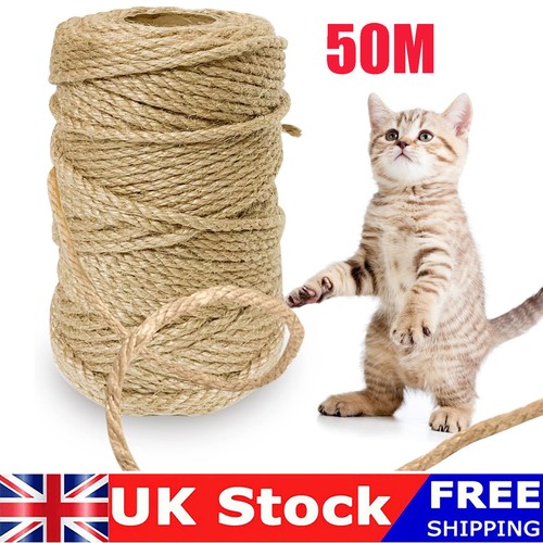 50m cat scratching - cat, sisal