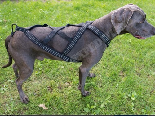 Hurtta sport harness 70cm - x-sport,
