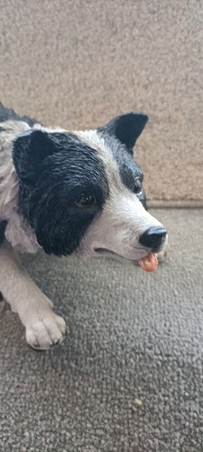 Border collie figure - collie, hotant
