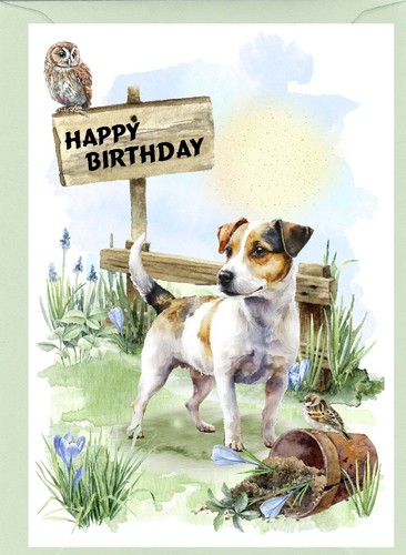 Jack russell terrier dog x - terrier,