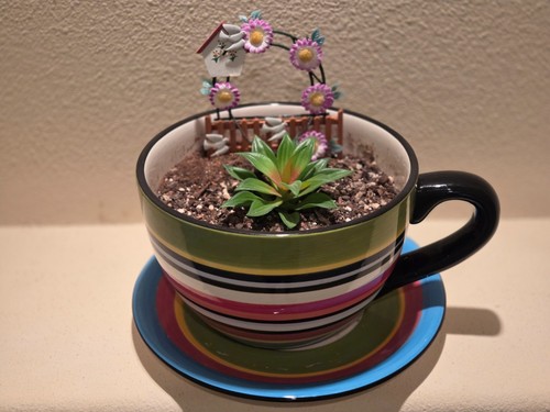 Large blue multi striped - large,